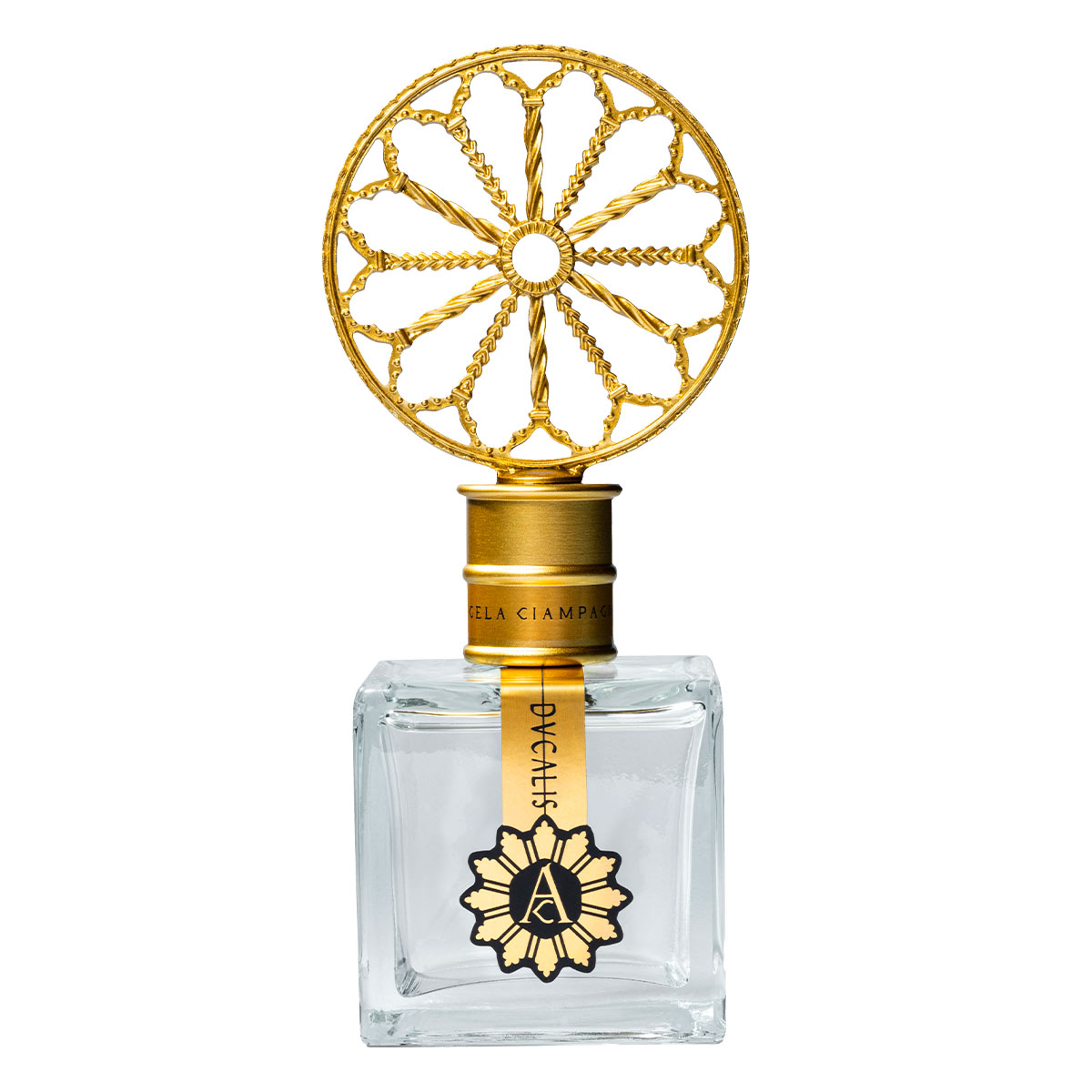 Angela Ciampagna DUCALIS